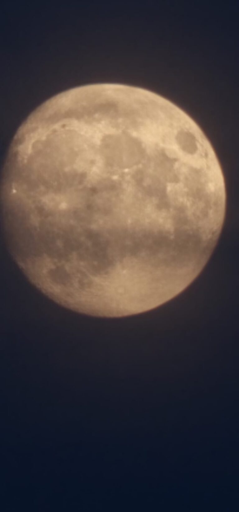 lune rose